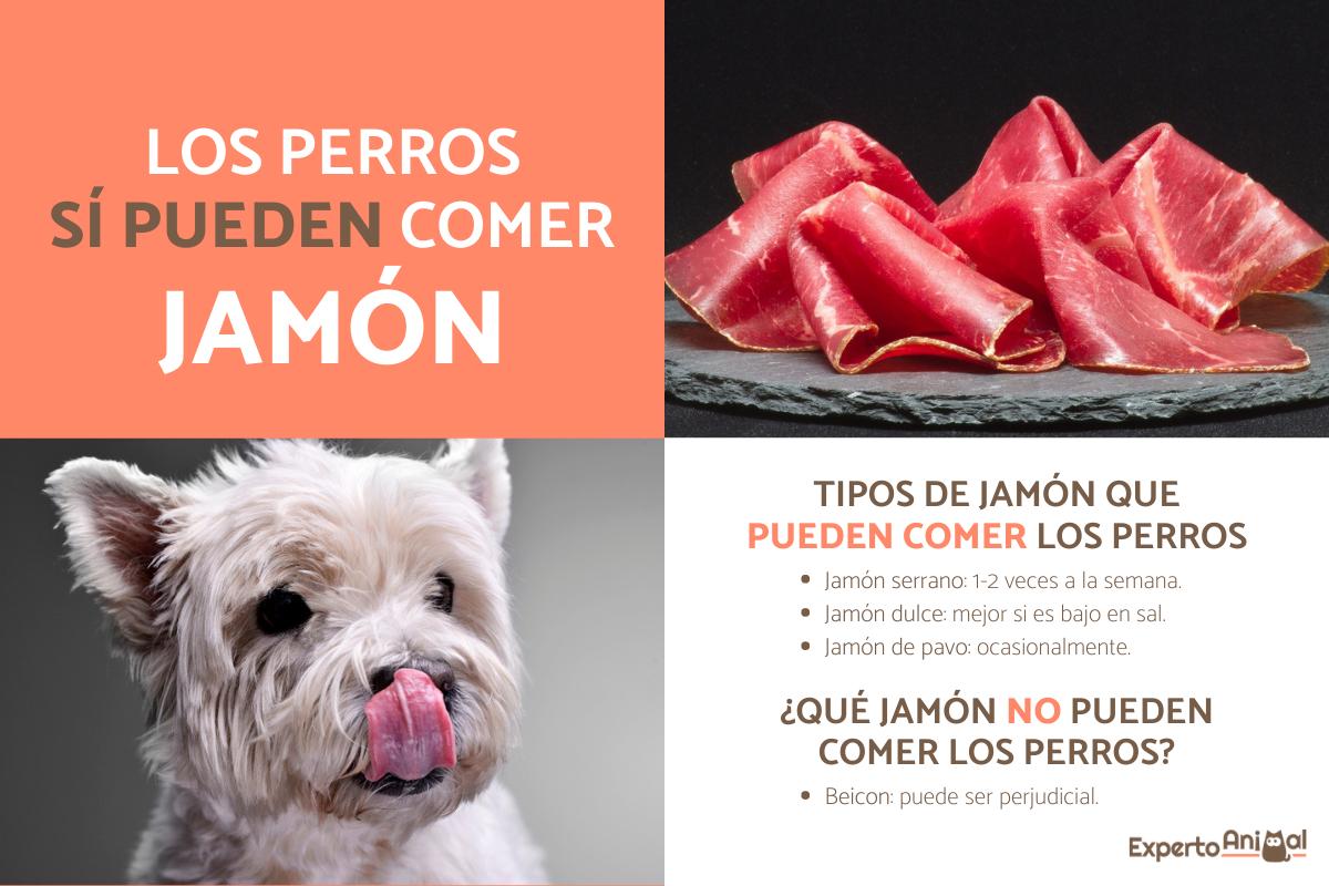 ¿Los perros pueden comer jamón?