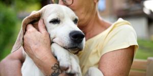 La ley es clara: está prohibido enterrar mascotas en el campo y las multas pueden alcanzar los 60.000 euros