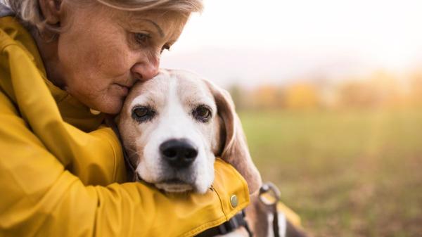 La ley es clara: está prohibido enterrar mascotas en el campo y las multas pueden alcanzar los 60.000 euros - Las razones sanitarias por las que no está permitido enterrar mascotas en el campo