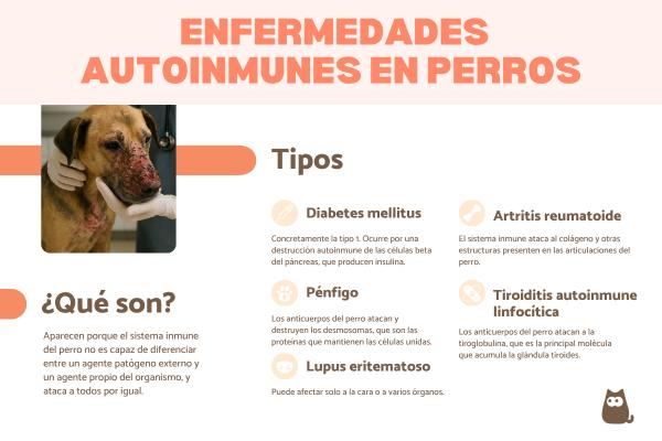 Enfermedades autoinmunes en perros