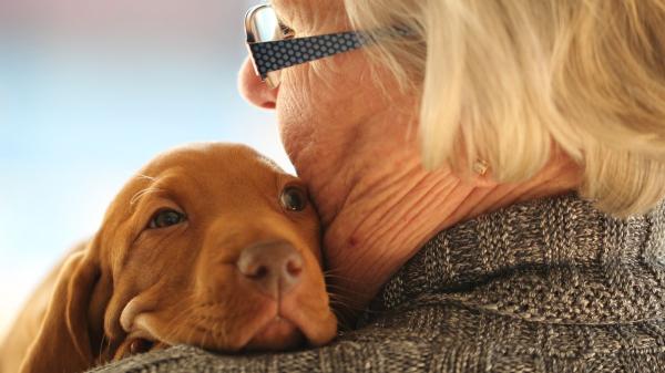 España reconoce el papel de los animales de compañía en la nueva estrategia estatal contra la soledad y el aislamiento - El papel de los animales de compañía en la lucha contra la soledad y el aislamiento