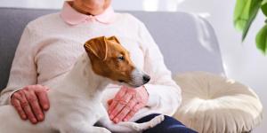 España reconoce el papel de los animales de compañía en la nueva estrategia estatal contra la soledad y el aislamiento