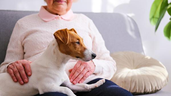 España reconoce el papel de los animales de compañía en la nueva estrategia estatal contra la soledad y el aislamiento