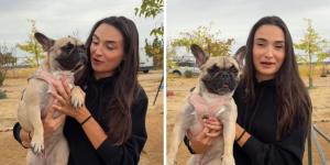 Abandonan a Luna por no tener tiempo ni para pasearla y ahora busca cariño: “La tenían encerrada en una habitación”