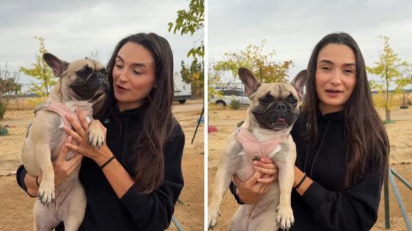 Abandonan a Luna por no tener tiempo ni para pasearla y ahora busca cariño: “La tenían encerrada en una habitación”