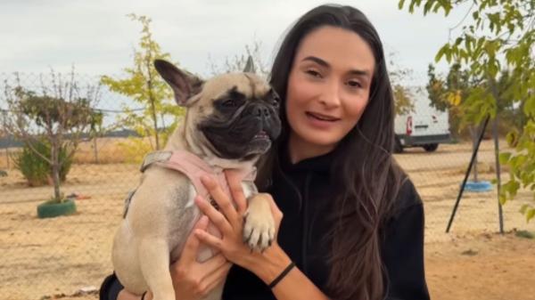 Abandonan a Luna por no tener tiempo ni para pasearla y ahora busca cariño: “La tenían encerrada en una habitación” - La historia de Luna: sin paseos, encerrada y abandonada