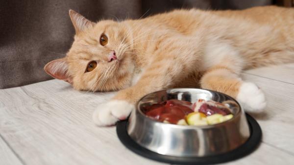 Mucho más que la leche: los alimentos que tu gato ama y son un riesgo para su salud (explicado por veterinaria) - Hígado y la trampa de la vitamina A