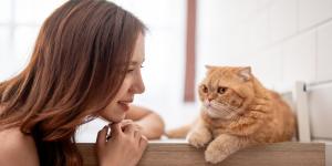 Hablarle a tu gato como a un bebé sí tiene un efecto real: lo confirma la ciencia