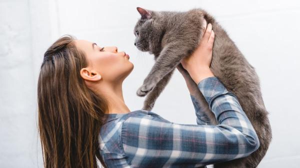 Hablarle a tu gato como a un bebé sí tiene un efecto real: lo confirma la ciencia - Los gatos también identifican la voz de su cuidador
