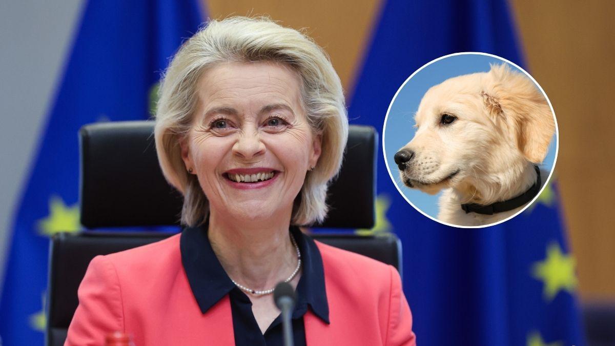 La Comisión Europea confirma el nuevo reglamento para mascotas: certificados sanitarios y pasaporte hasta 2028