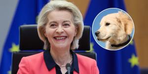 La Comisión Europea confirma el nuevo reglamento para mascotas: certificados sanitarios y pasaporte hasta 2028