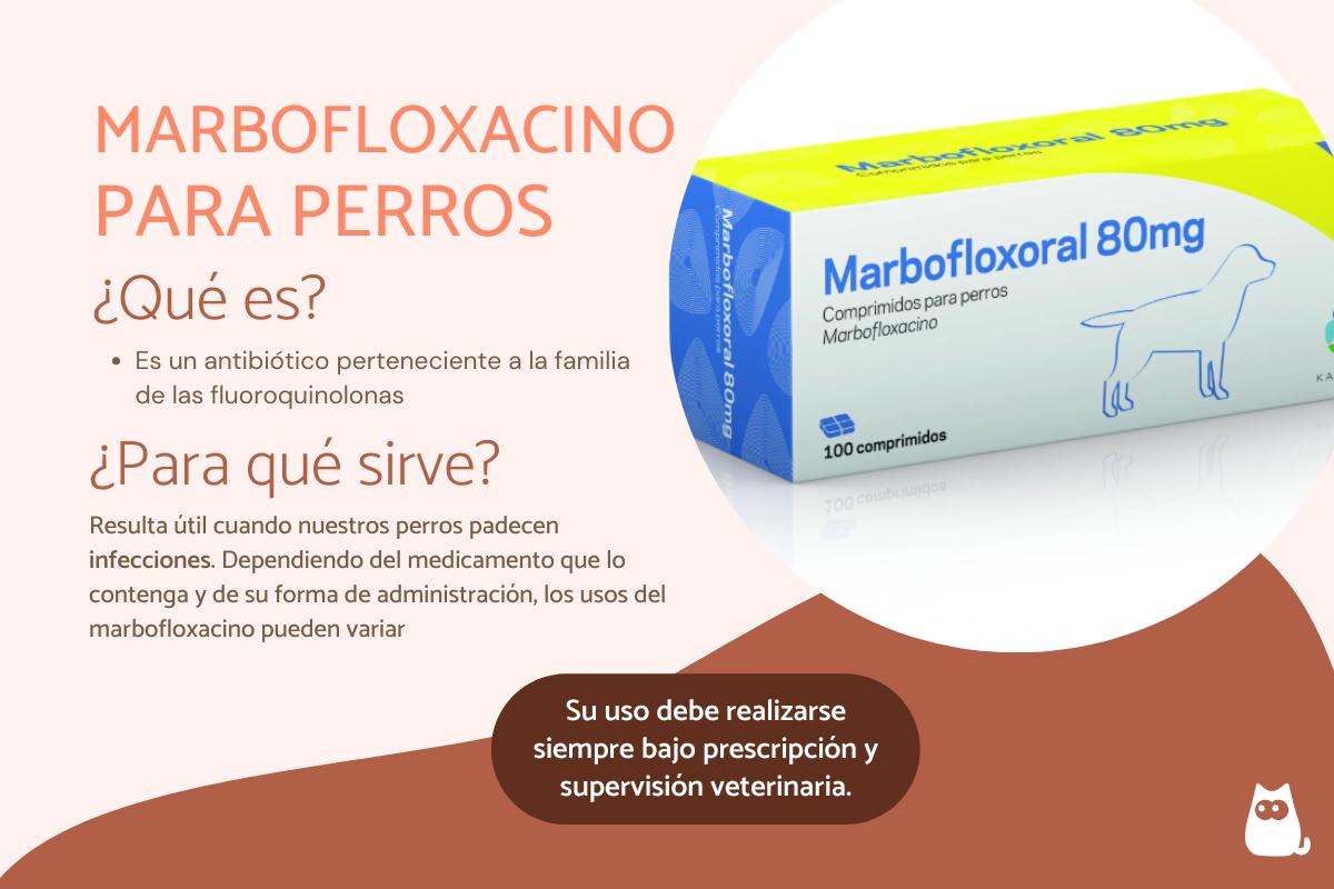 Marbofloxacino para perros: dosis, usos y efectos secundarios