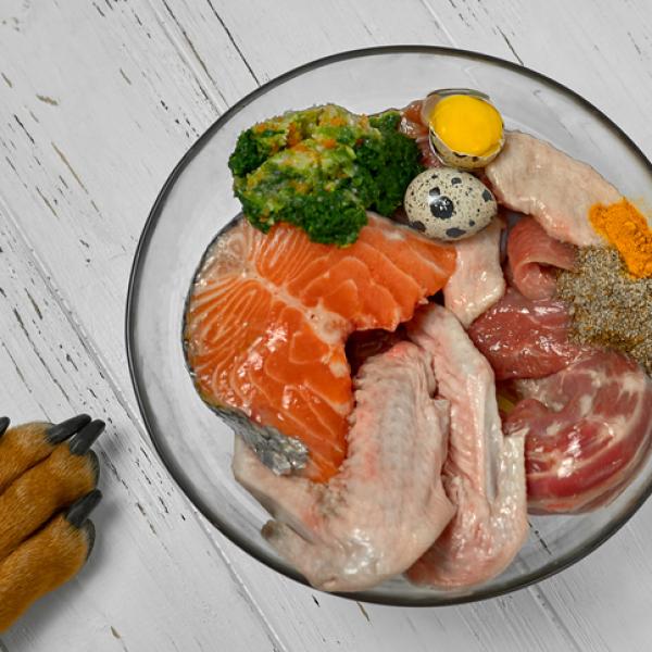 cómo se complementa la comida cruda para perros