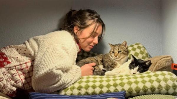 La actriz Paula Usero crea su propia asociación para ayudar a las colonias felinas de la España vaciada: “No podemos dejar a estos gatos sin futuro” - El proyecto de Paula Usero en La Majada: nueve colonias felinas 