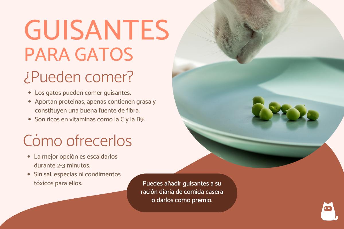 ¿Los gatos pueden comer arvejas o guisantes?