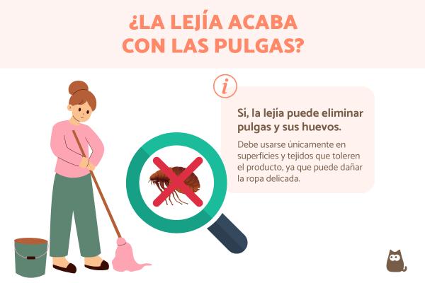 ¿Las pulgas mueren con lejía?
