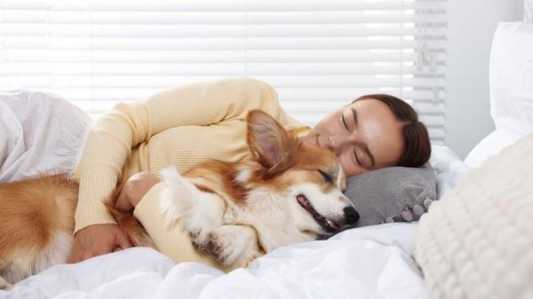 Dormir con tu perro puede decir más de lo que imaginas sobre vuestra relación
