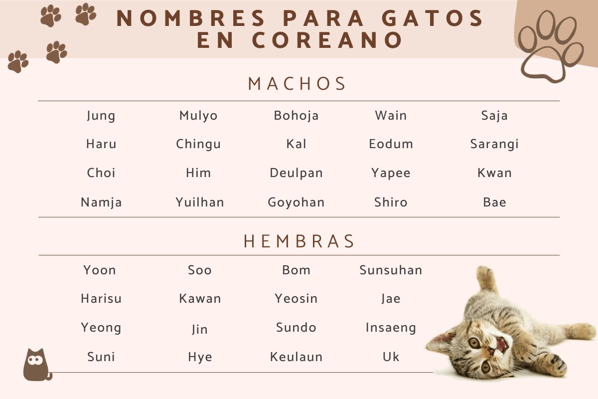 Nombres para gatos en coreano