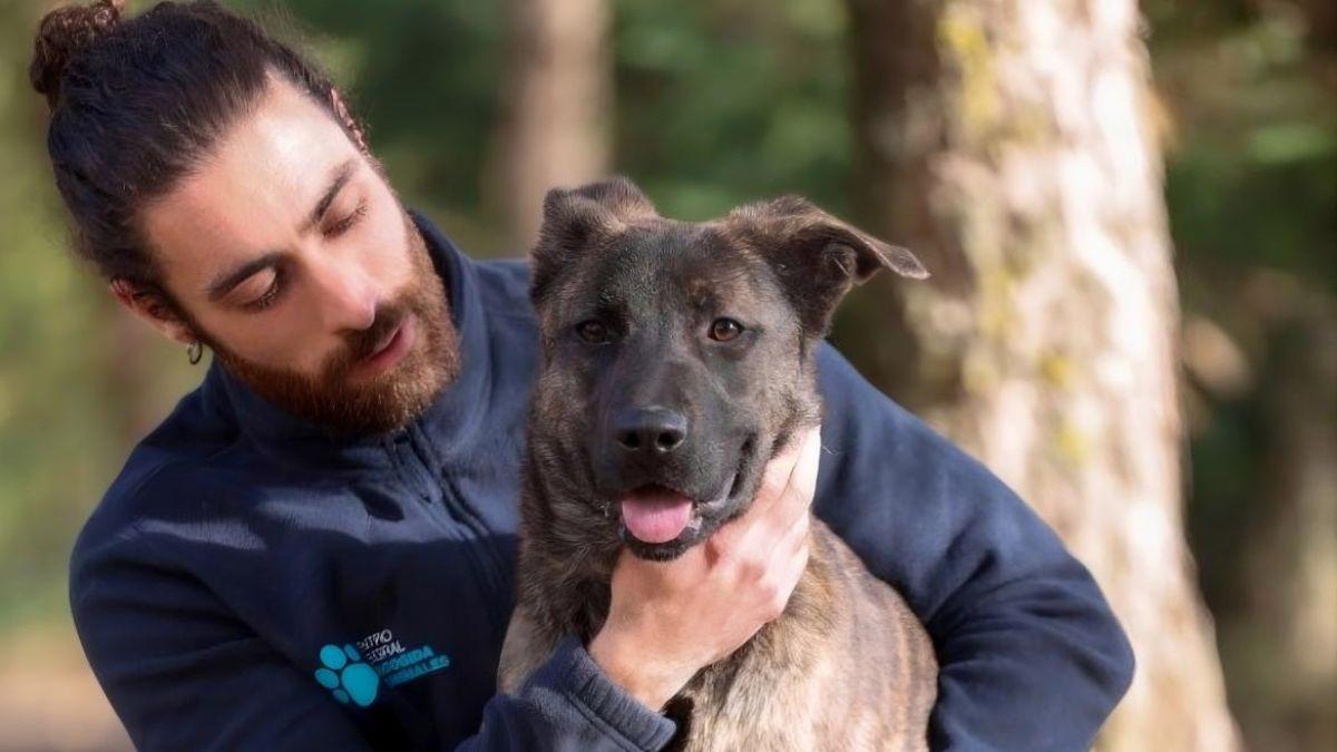 Madrid da un paso clave por los animales abandonados: amplía su centro de acogida con más plazas y mejores condiciones