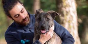 Madrid da un paso clave por los animales abandonados: amplía su centro de acogida con más plazas y mejores condiciones