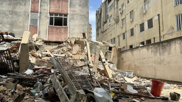 De perro maltratado a salvar vidas: Tsunami busca supervivientes tras los terremotos en Venezuela - Así trabajan los perros de rescate en zonas colapsadas tras un terremoto