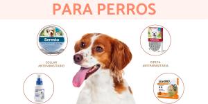 Antiparasitarios para perros: tipos, marcas y cada cuánto tiempo usarlos