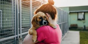 La cara solidaria de los incendios en España: más de 100 puntos de recogida para ayudar a los animales afectados