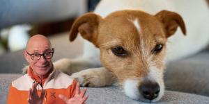 Manuel, adiestrador canino: “Si tu perro suspira al verte o cuando está tumbado a tu lado, no es por cansancio, es un mensaje emocional muy concreto”