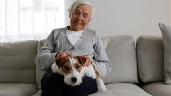 De “Toby” a “Loki”: así han cambiado los nombres de mascotas en España según las generaciones - Los nombres clásicos: tradición, cine y costumbres