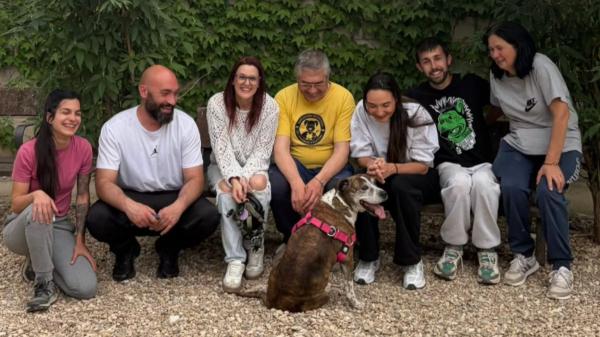 Pasó 10 años en el refugio esperando una familia: la reacción de Kimba al ser adoptada conmueve a todos - El día que todo cambió para Kimba