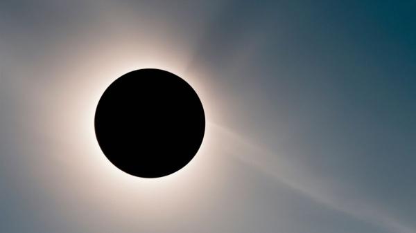 Los veterinarios expertos lo tienen claro: así afectará el eclipse solar total a perros y gatos - Por qué los perros y los gatos se comportan de forma diferente durante un eclipse