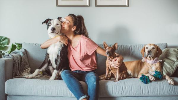 La psicología afirma que las personas que cuidan varias mascotas suelen desarrollar hábitos más saludables