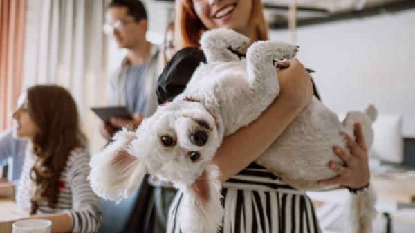 La psicología afirma que las personas que cuidan varias mascotas suelen desarrollar hábitos más saludables - La responsabilidad de cuidarles fomenta hábitos más activos y saludables