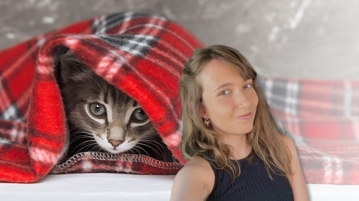 El consejo más útil de una veterinaria para evitar enfermedades en gatos este invierno: "Evita corrientes de aire y mantén esta temperatura en casa para protegerlo"