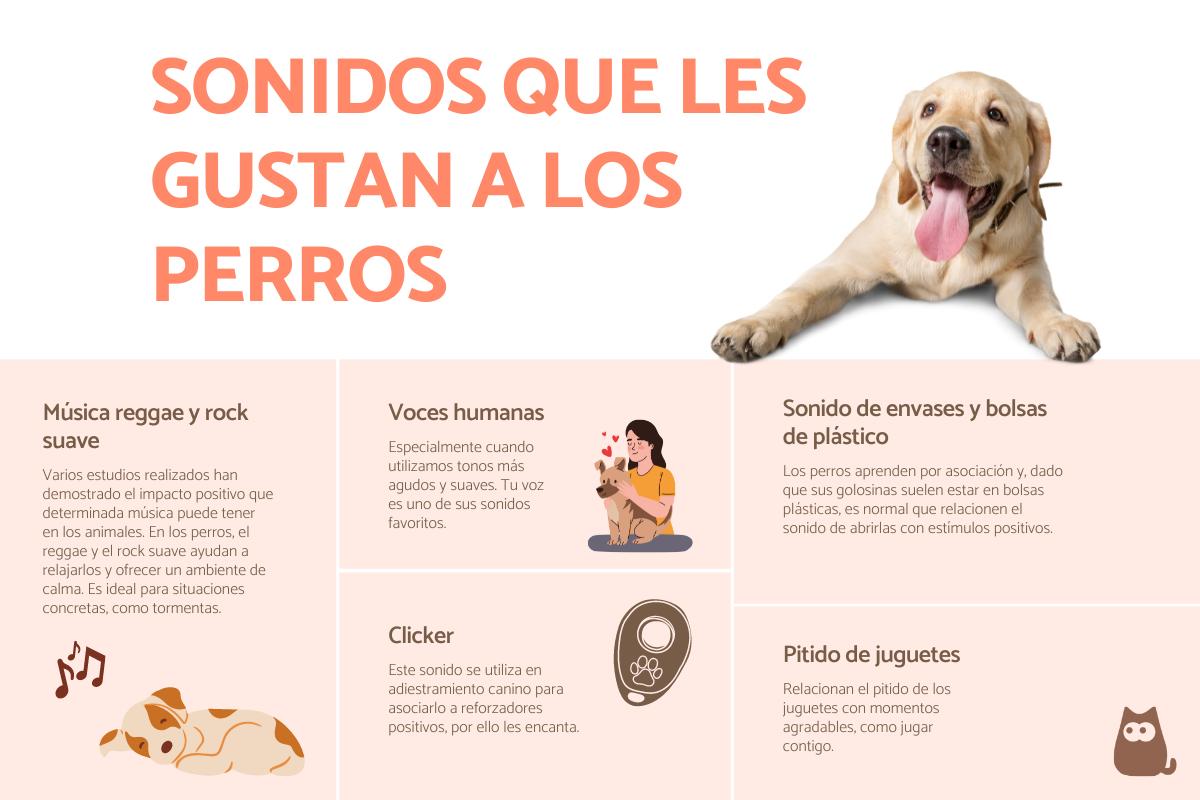 Sonidos que les gustan a los perros
