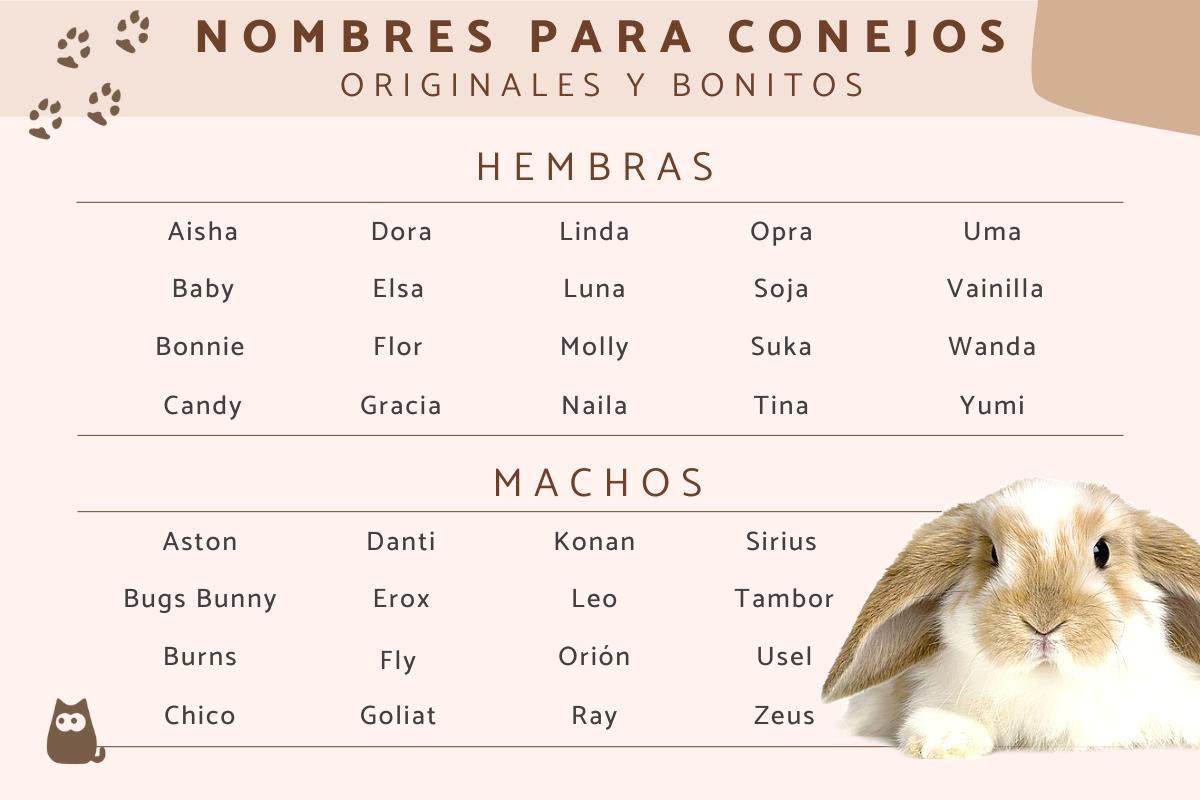Nombres para conejos