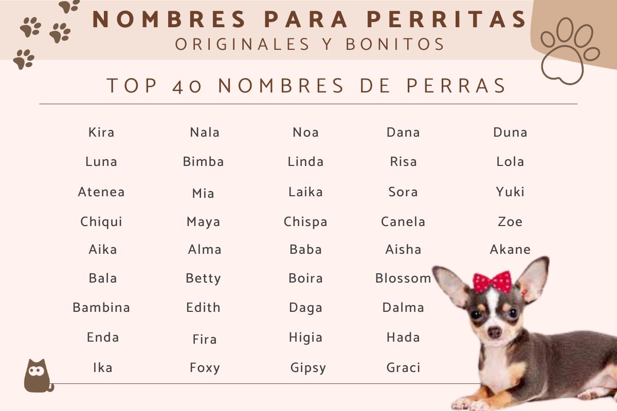 Nombres para perritas originales y bonitos
