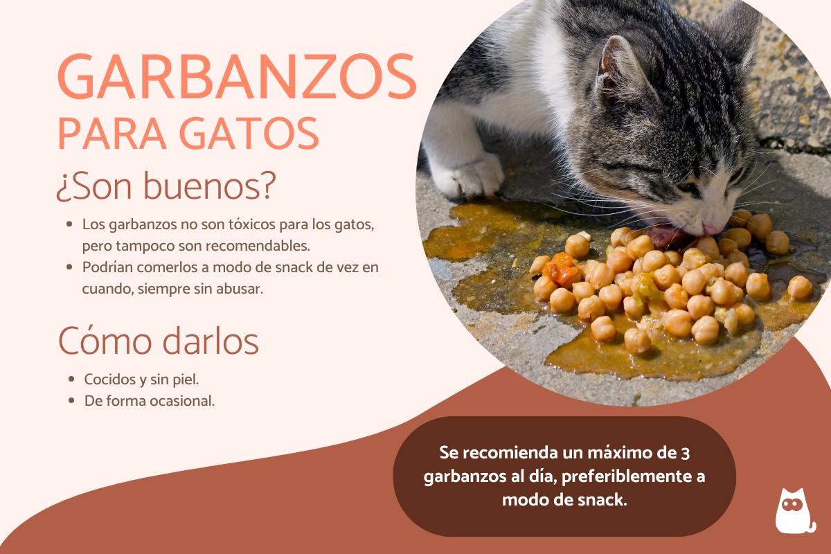 ¿Los gatos pueden comer garbanzos?