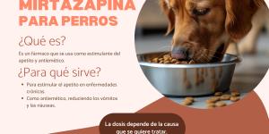Mirtazapina para perros: dosis, para qué sirve y efectos secundarios