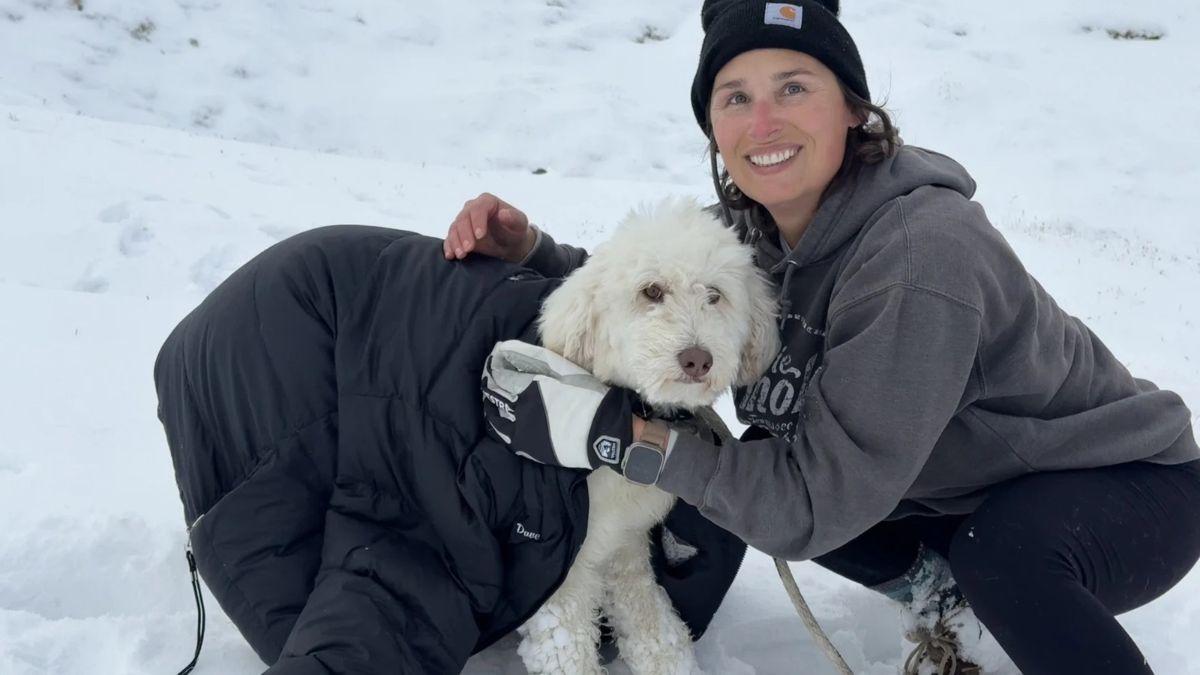 LouLou, la perrita que sobrevivió más de 50 horas sola en la nieve tras una avalancha en Alaska