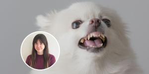 Marta Sarasúa, experta en comportamiento canino, aclara qué significa que tu perro te gruña y te lama a la vez: "Es una señal que muchos humanos no entienden"