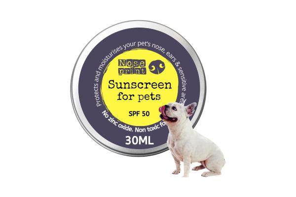 Los mejores protectores solares para perros - 5. Noseprint Bálsamo Protector Solar