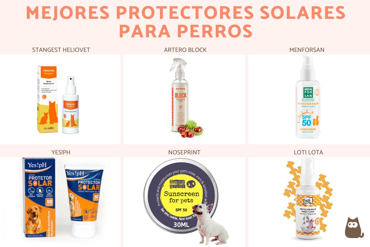 Los mejores protectores solares para perros