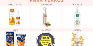 Los mejores protectores solares para perros