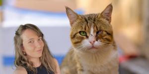 Soy veterinaria y esto es lo que debes hacer si te encuentras un gato herido en la calle: "No se debe tocar directamente la herida, hay que seguir estos pasos para evitar que se infecte"