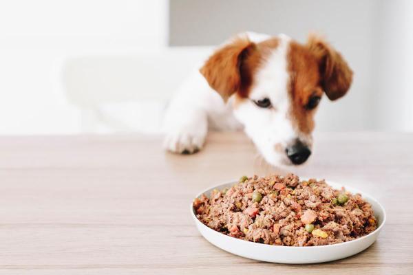 ¿Cuál es la mejor comida natural cocinada para perros? - Dogfy Diet