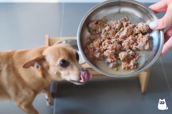 ¿Cuál es la mejor comida natural cocinada para perros? - Food for Joe