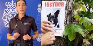 El aviso de la Policía Nacional por una nueva estafa que se aprovecha de perros y gatos desaparecidos