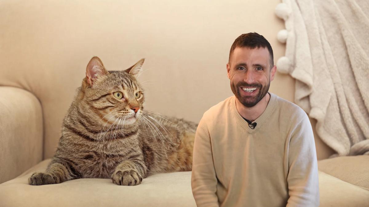 Carlos Gutiérrez, veterinario: “Los gatos eligen a su humano buscando un apego seguro, alguien que les proteja”