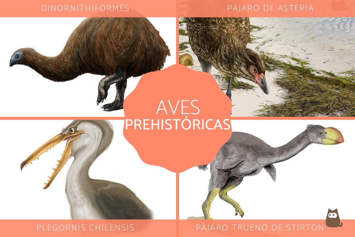 Aves prehistóricas vivas y extintas